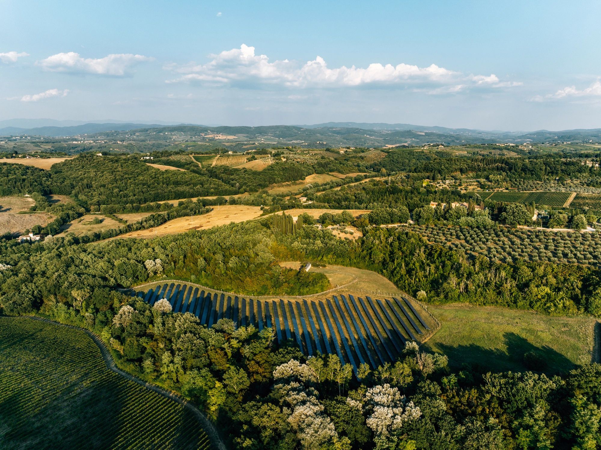 Solar farm representing clean energy solutions